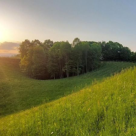 Agriturismo L'Eremo Volpago del Montello Eksteriør bilde