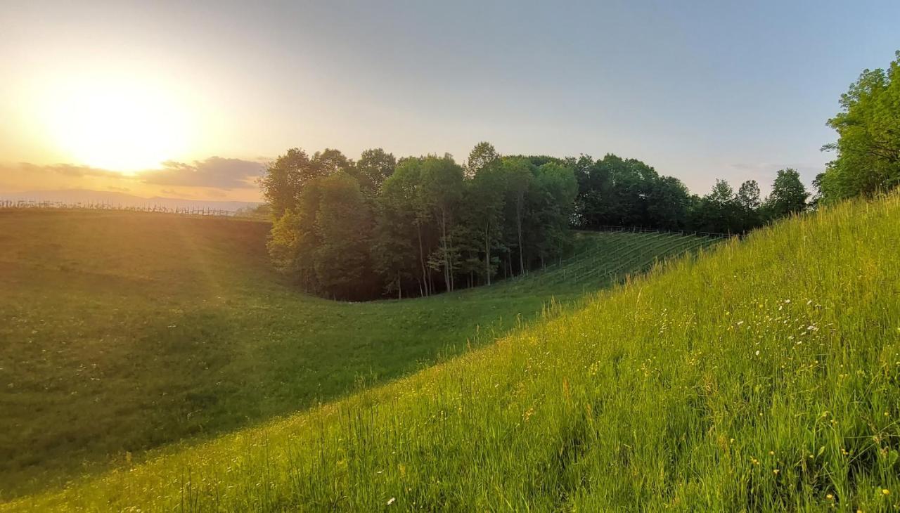Agriturismo L'Eremo Volpago del Montello Eksteriør bilde